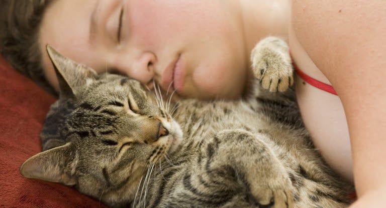 chat qui ronronne et dort à côté d'une femme