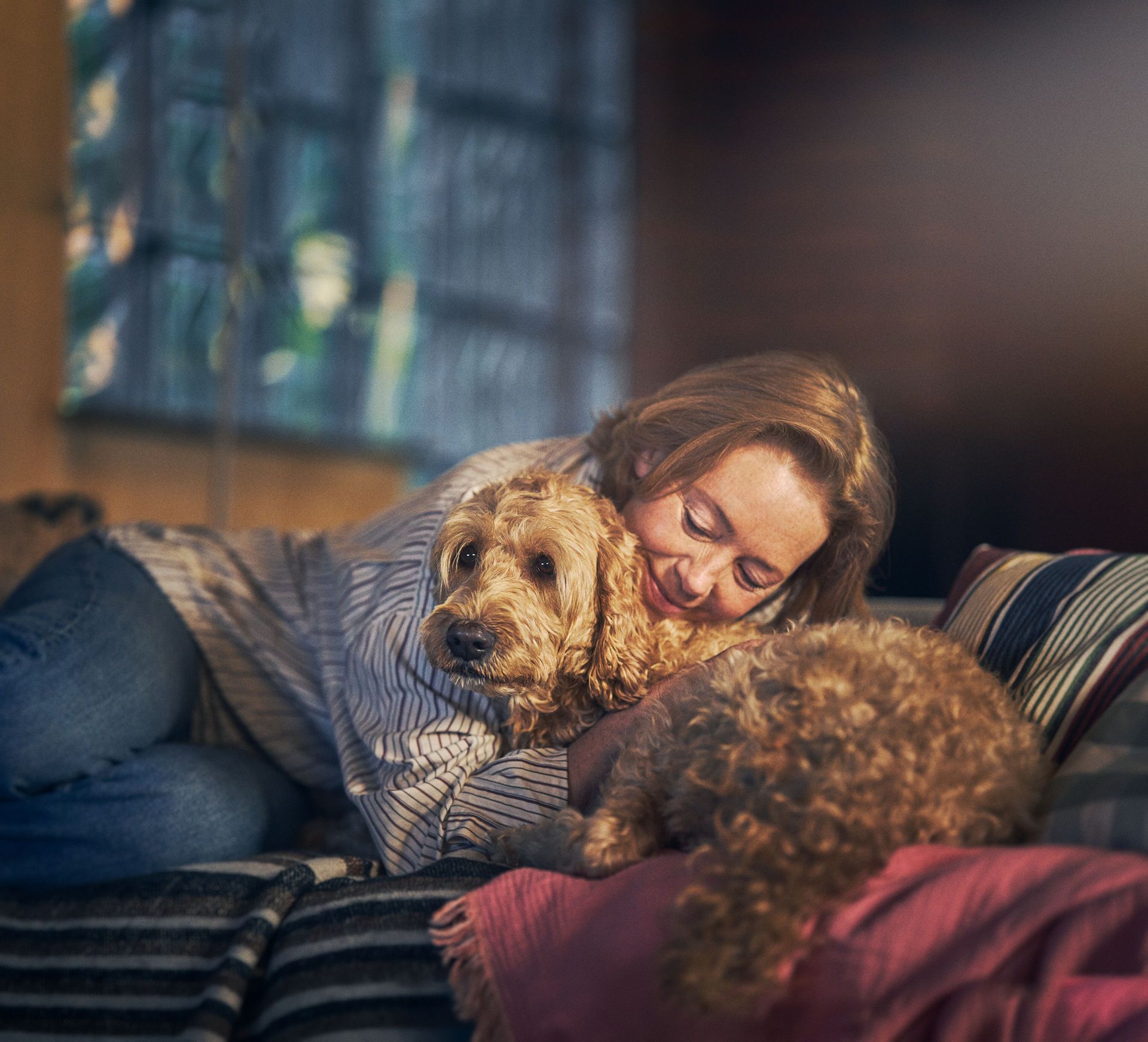 Un chien est couché dans les bras de sa maîtresse
