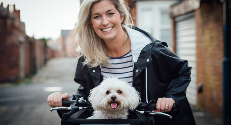 Petit chien dans un panier à vélo