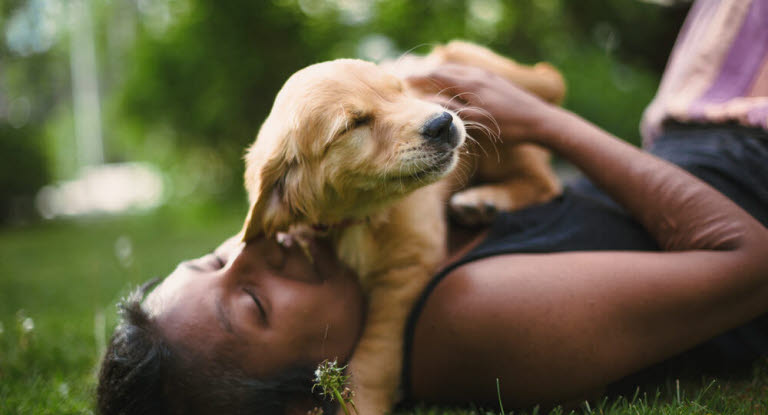 Chiot dans les bras de sa maîtresse allongée dans l'herbe