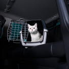 Chat blanc dans une cage de transport