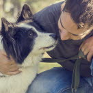 chien et homme qui se frotte le nez