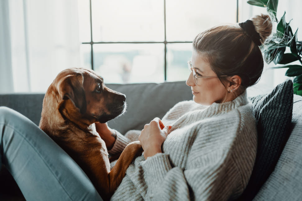 femme avec un chien sur les genoux qui a une mutuelle chien