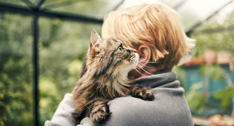 Pourquoi le chat se roule par terre devant vous - Agria Assurance pour  animaux