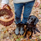 Chien noir avec son maître qui tient un panier de champignons dans la forêt